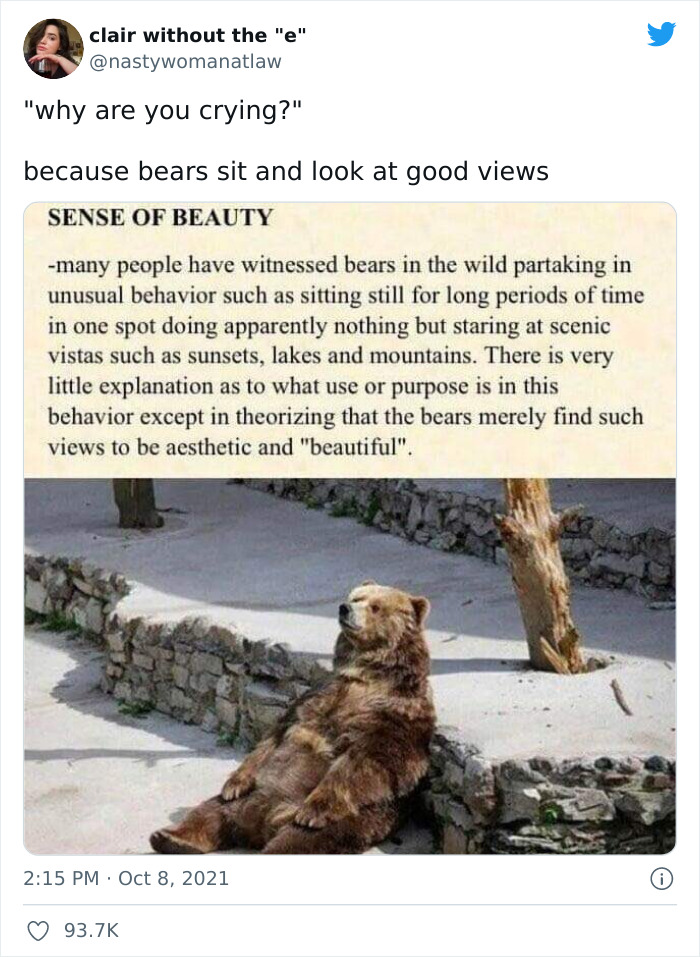 Find Some Time Today To Look At A Good View