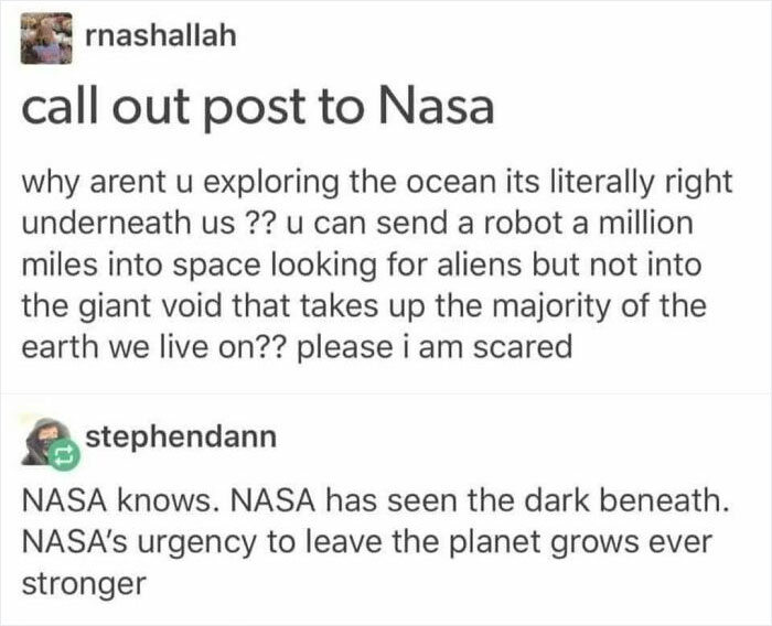 Spooky Sea Turtles And Crabs