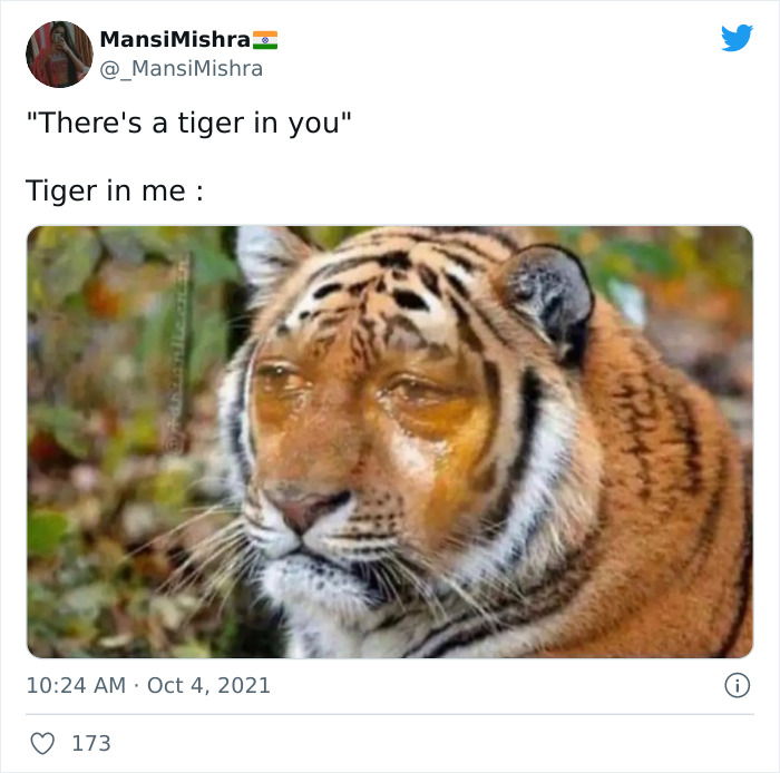 A Handful Of Memes For Your Viewing Pleasure