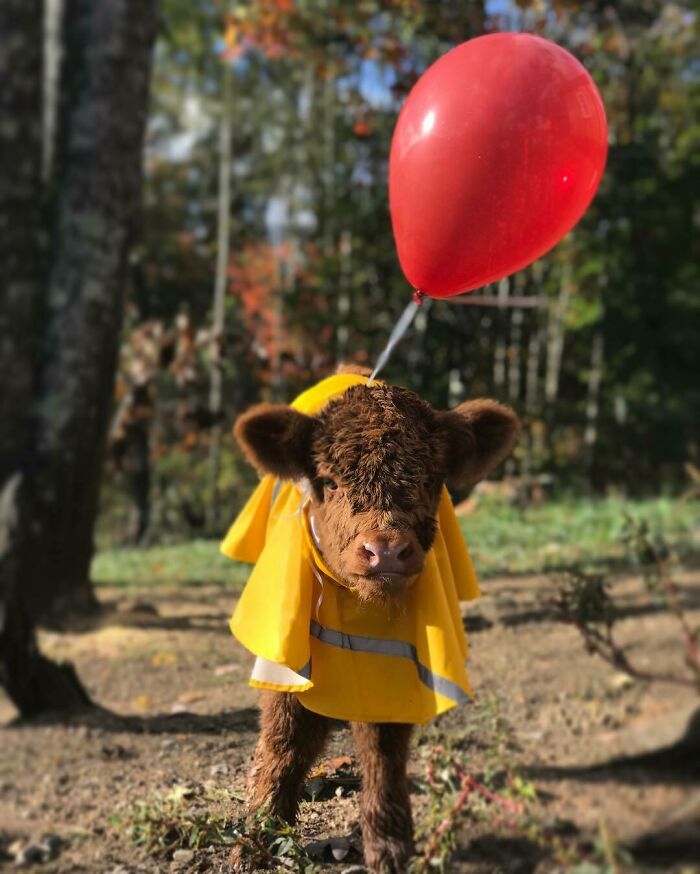 Grace Was Ready For The Rain!