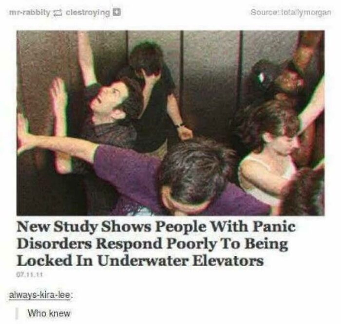 I Don’t Think Anyone Would Respond Well To This