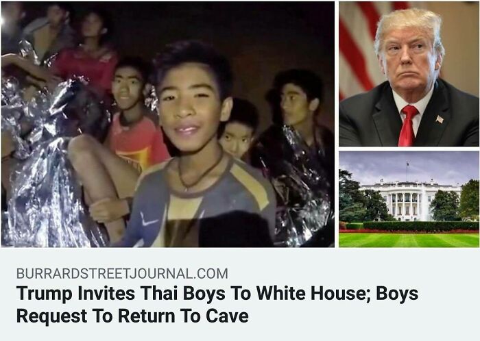 Don’t Blame Them Tbh