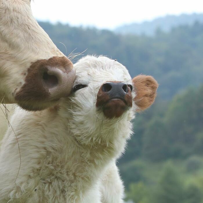 She’s Just The Cutest