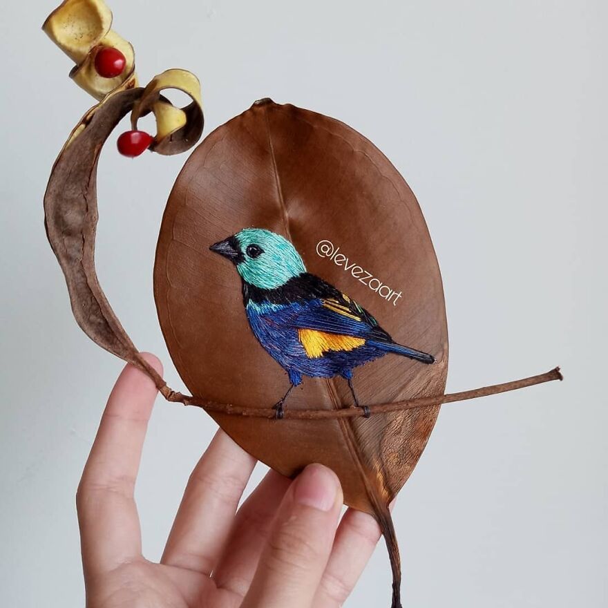 Brazilian Artist Conquers The Internet Making Embroidery On Tree Leaves
