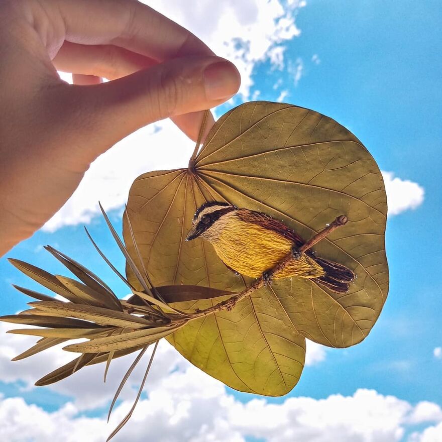 Brazilian Artist Conquers The Internet Making Embroidery On Tree Leaves