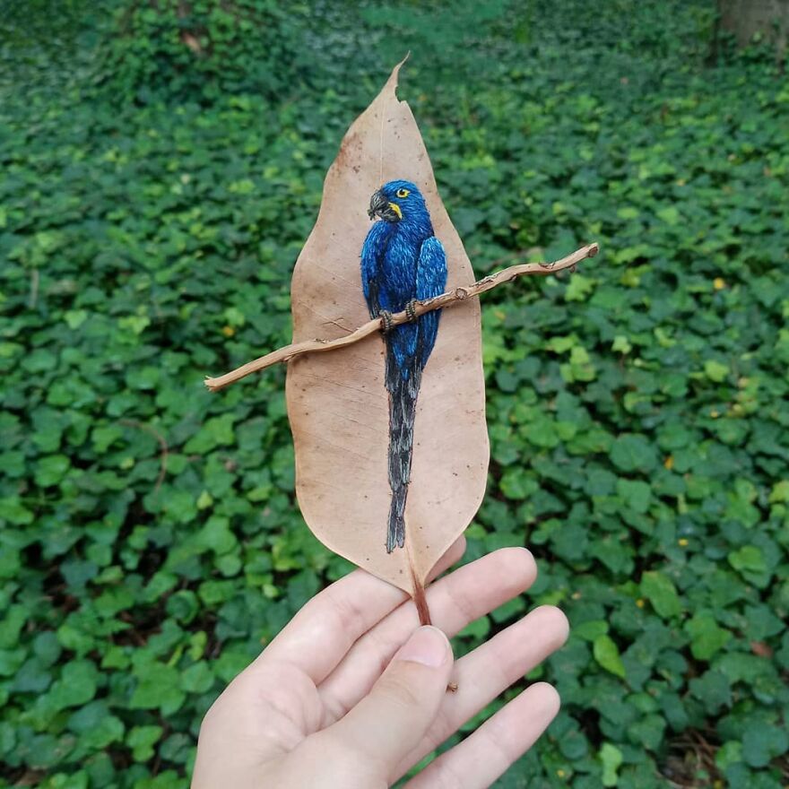 Brazilian Artist Conquers The Internet Making Embroidery On Tree Leaves