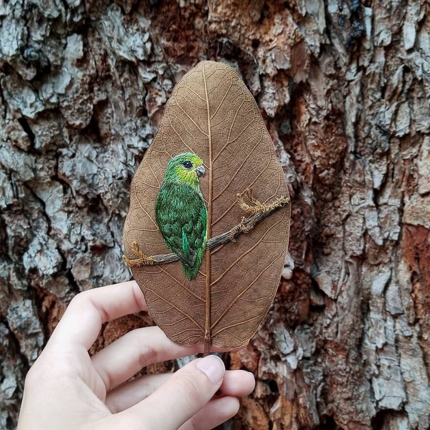 Brazilian Artist Conquers The Internet Making Embroidery On Tree Leaves