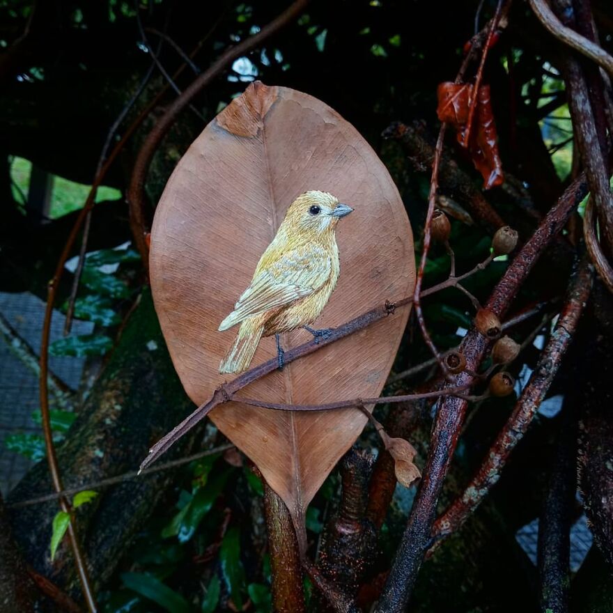 Brazilian Artist Conquers The Internet Making Embroidery On Tree Leaves