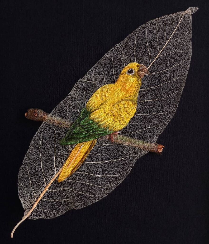 Brazilian Artist Conquers The Internet Making Embroidery On Tree Leaves