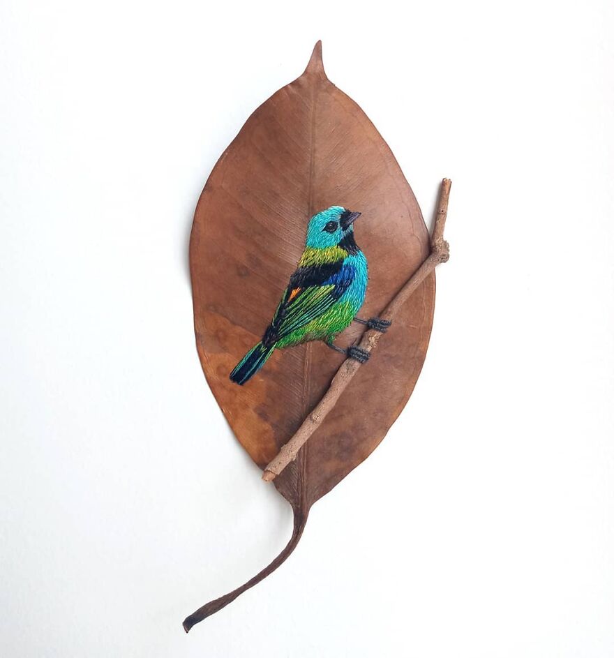 Brazilian Artist Conquers The Internet Making Embroidery On Tree Leaves
