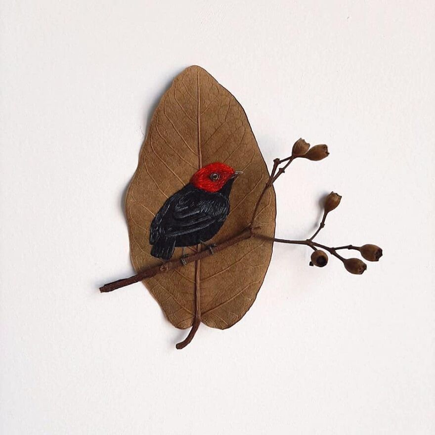 Brazilian Artist Conquers The Internet Making Embroidery On Tree Leaves