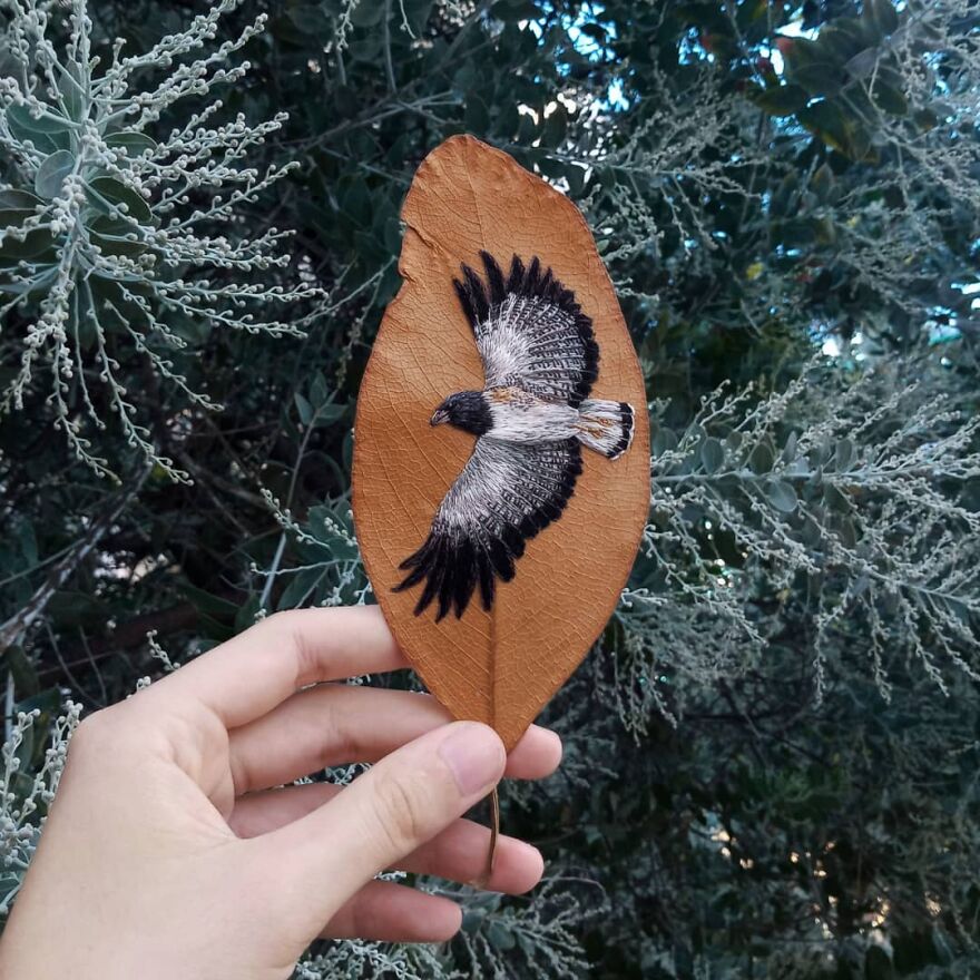 Brazilian Artist Conquers The Internet Making Embroidery On Tree Leaves