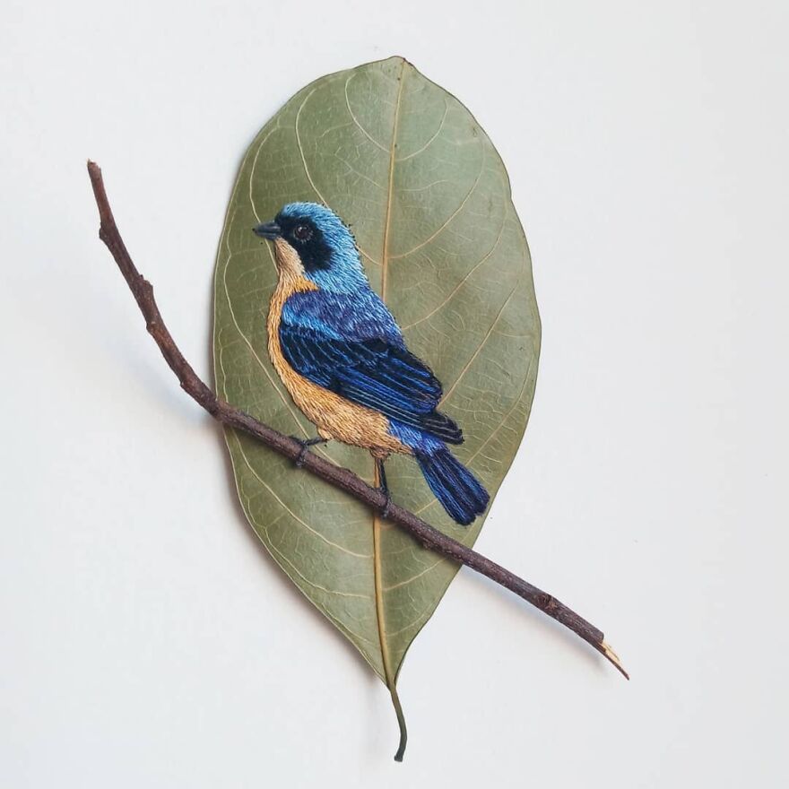 Brazilian Artist Conquers The Internet Making Embroidery On Tree Leaves