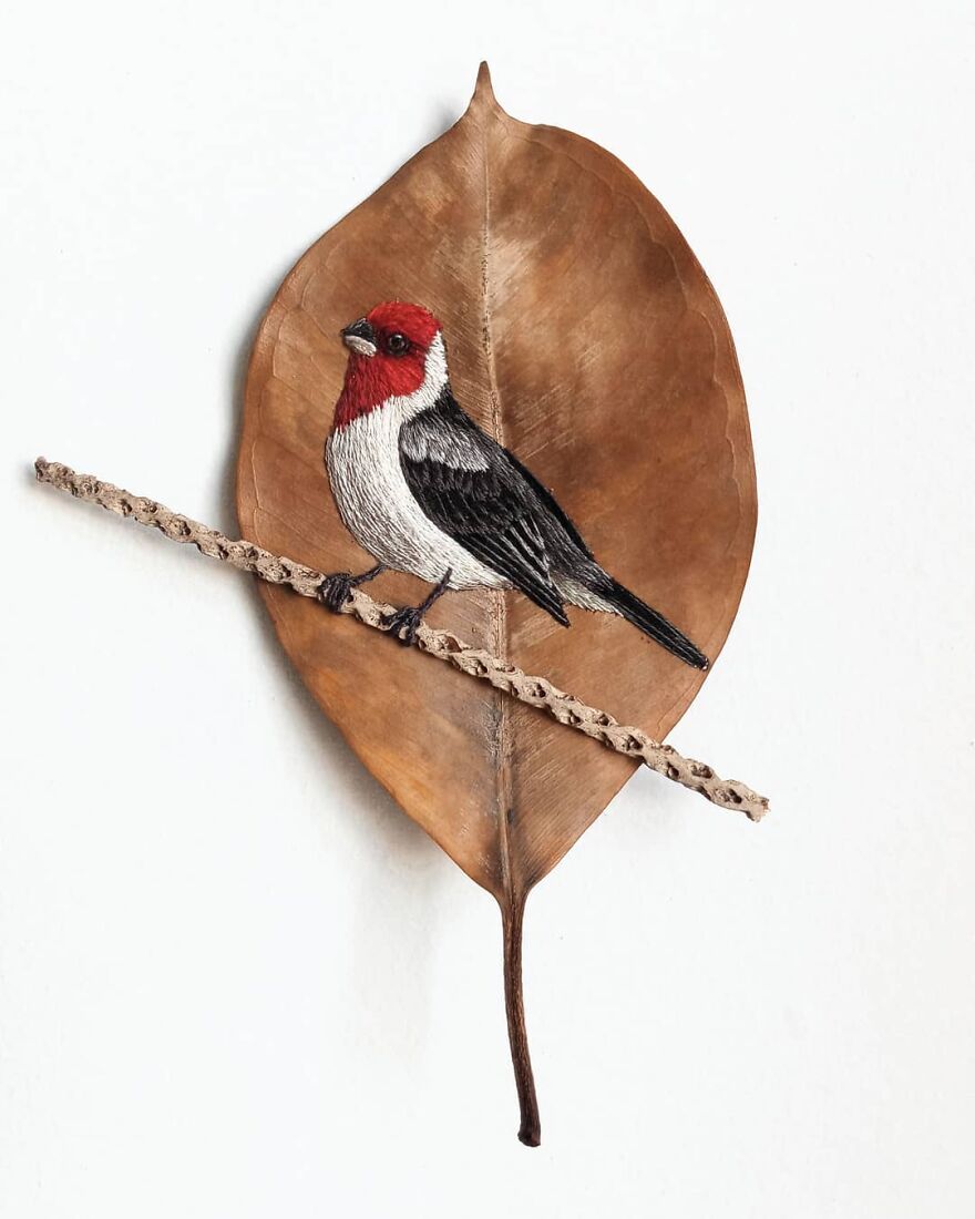 Brazilian Artist Conquers The Internet Making Embroidery On Tree Leaves