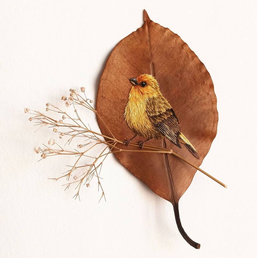 Brazilian Artist Conquers The Internet Making Embroidery On Tree Leaves