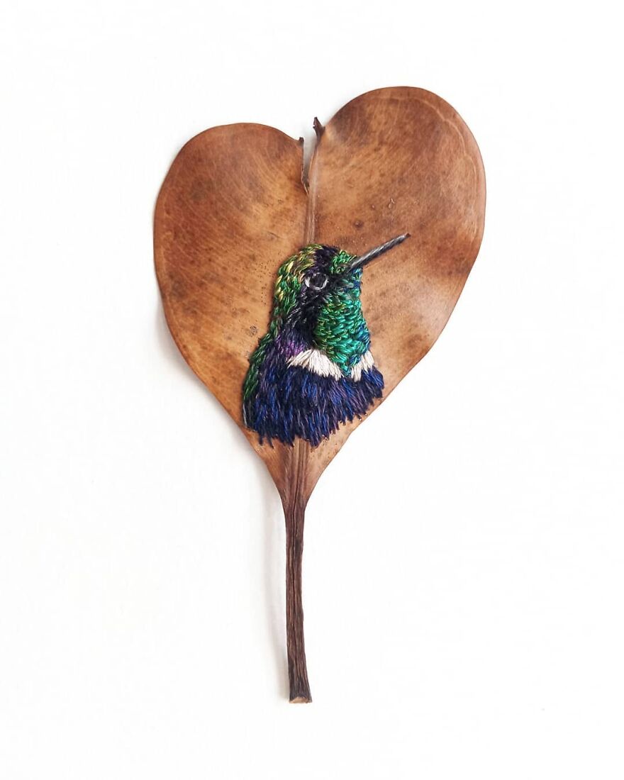 Brazilian Artist Conquers The Internet Making Embroidery On Tree Leaves