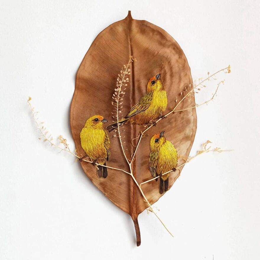 Brazilian Artist Conquers The Internet Making Embroidery On Tree Leaves