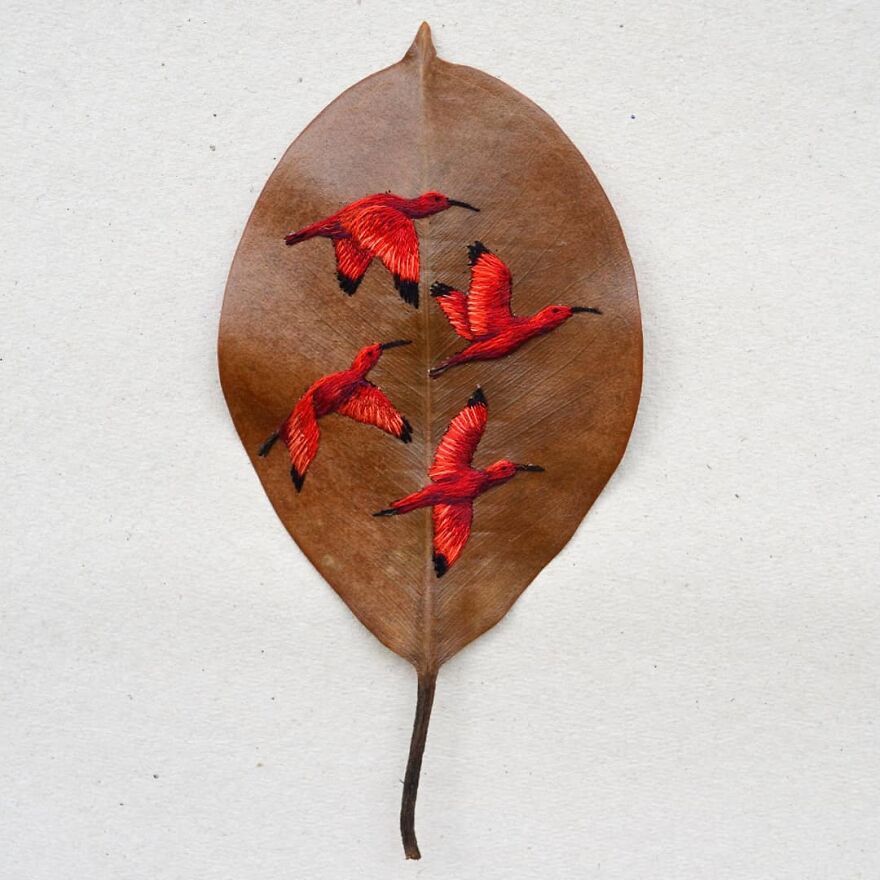 Brazilian Artist Conquers The Internet Making Embroidery On Tree Leaves
