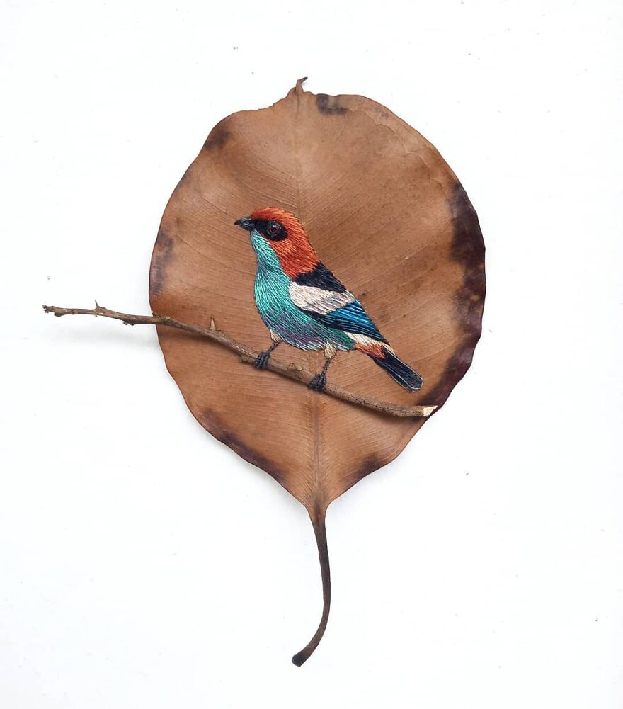 Brazilian Artist Conquers The Internet Making Embroidery On Tree Leaves