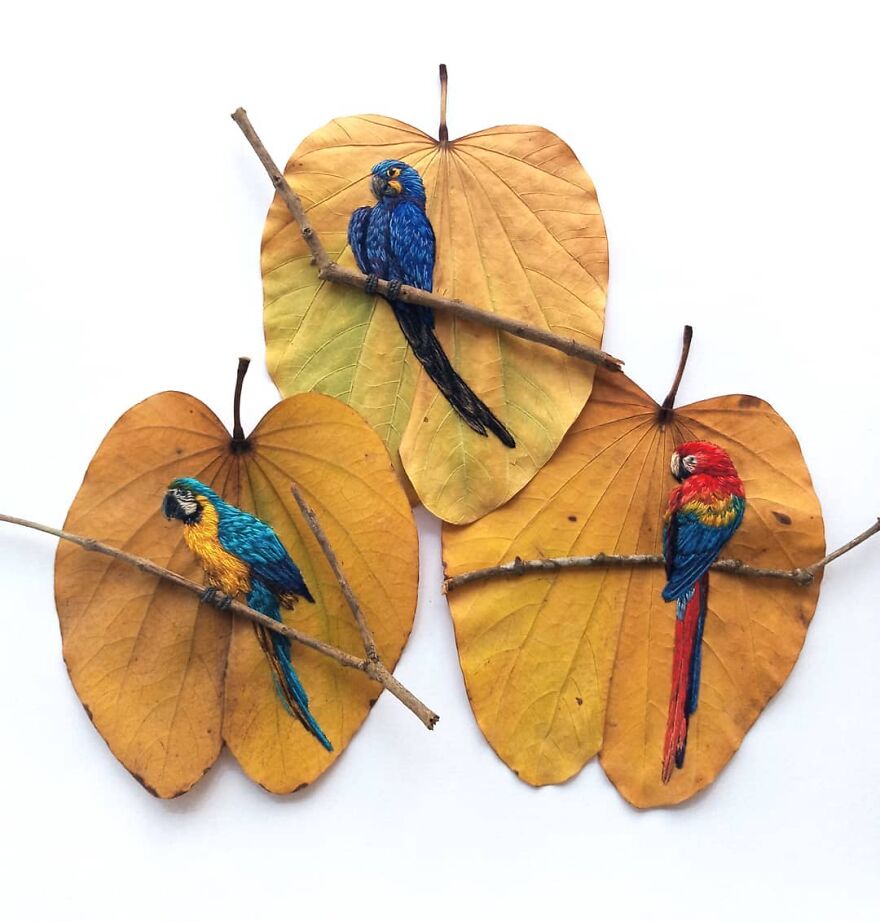 Brazilian Artist Conquers The Internet Making Embroidery On Tree Leaves