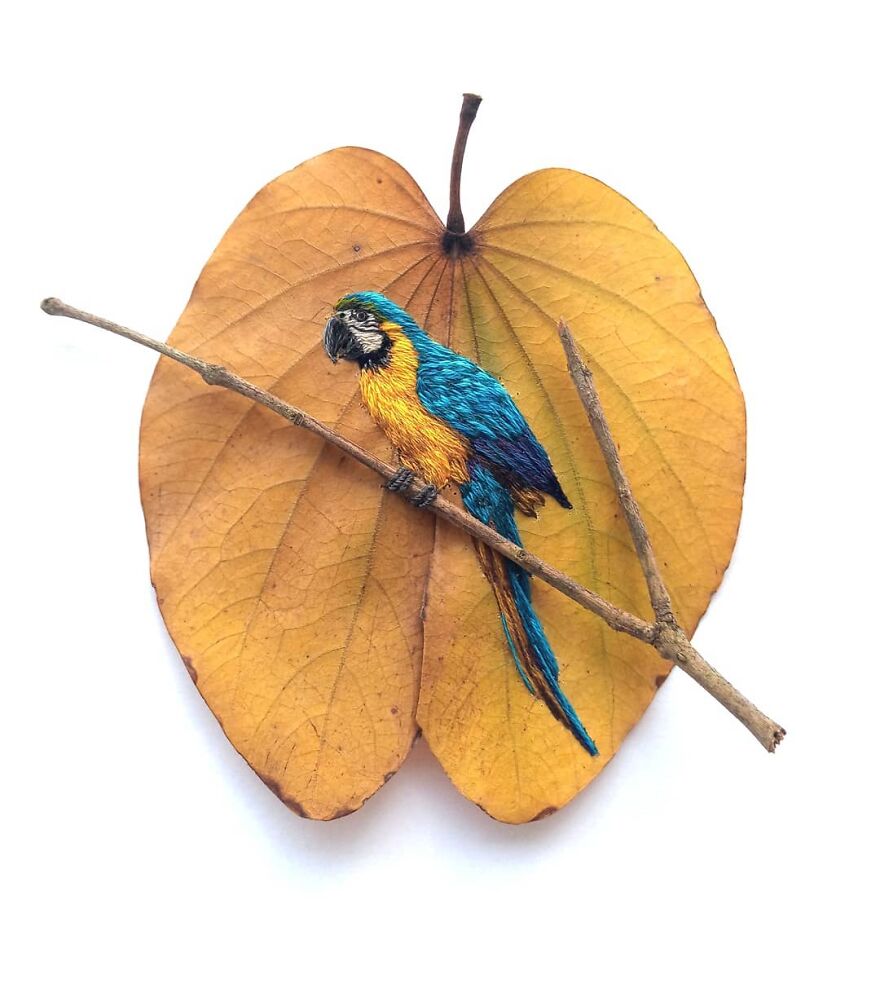 Brazilian Artist Conquers The Internet Making Embroidery On Tree Leaves