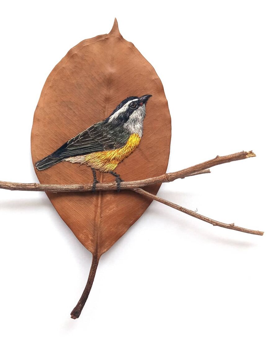 Brazilian Artist Conquers The Internet Making Embroidery On Tree Leaves