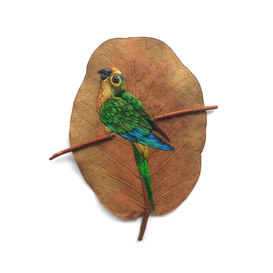 Brazilian Artist Conquers The Internet Making Embroidery On Tree Leaves