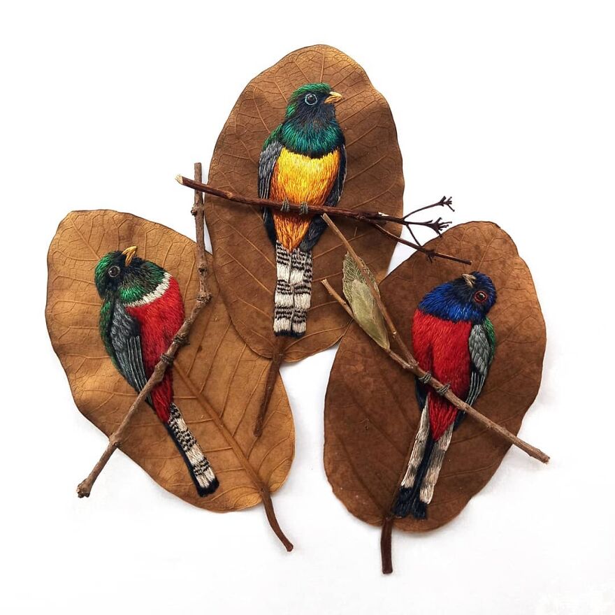 Brazilian Artist Conquers The Internet Making Embroidery On Tree Leaves