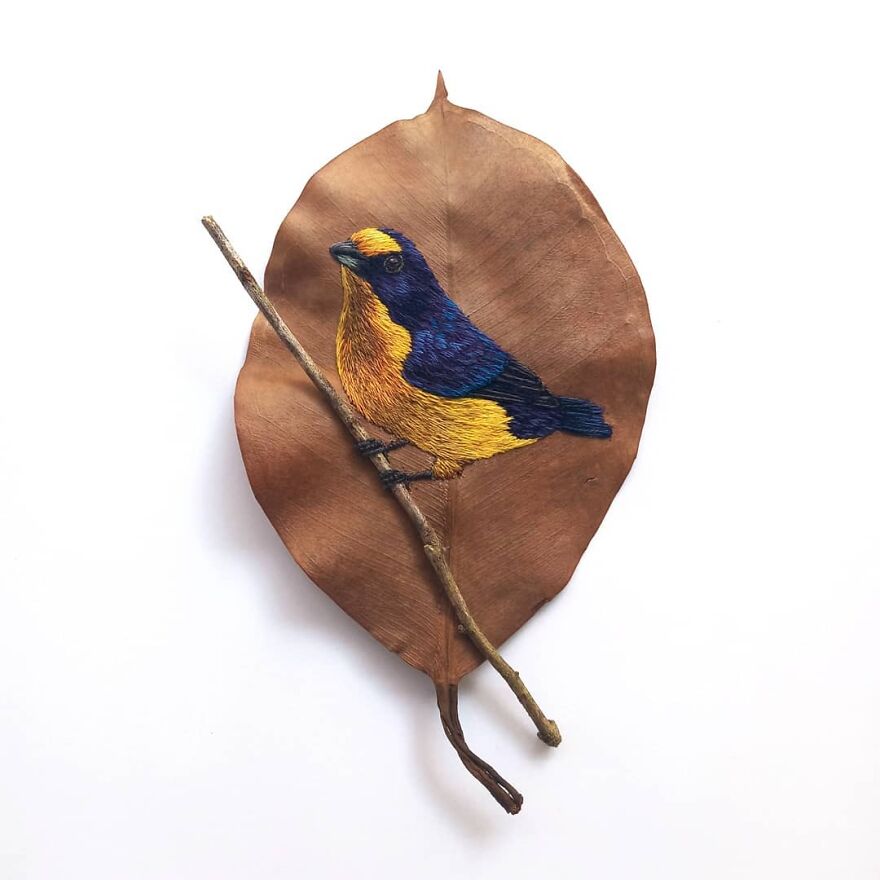 Brazilian Artist Conquers The Internet Making Embroidery On Tree Leaves