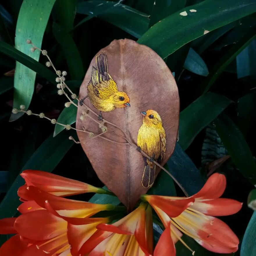 Brazilian Artist Conquers The Internet Making Embroidery On Tree Leaves