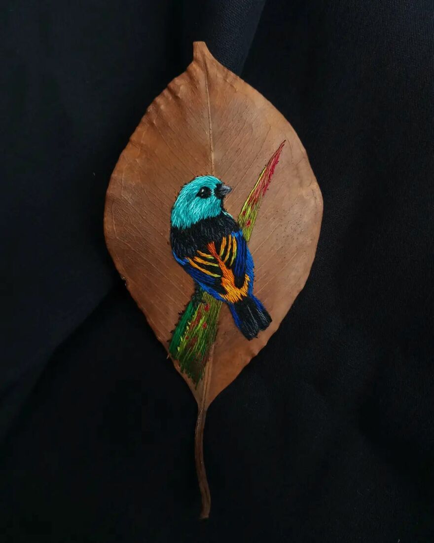 Brazilian Artist Conquers The Internet Making Embroidery On Tree Leaves