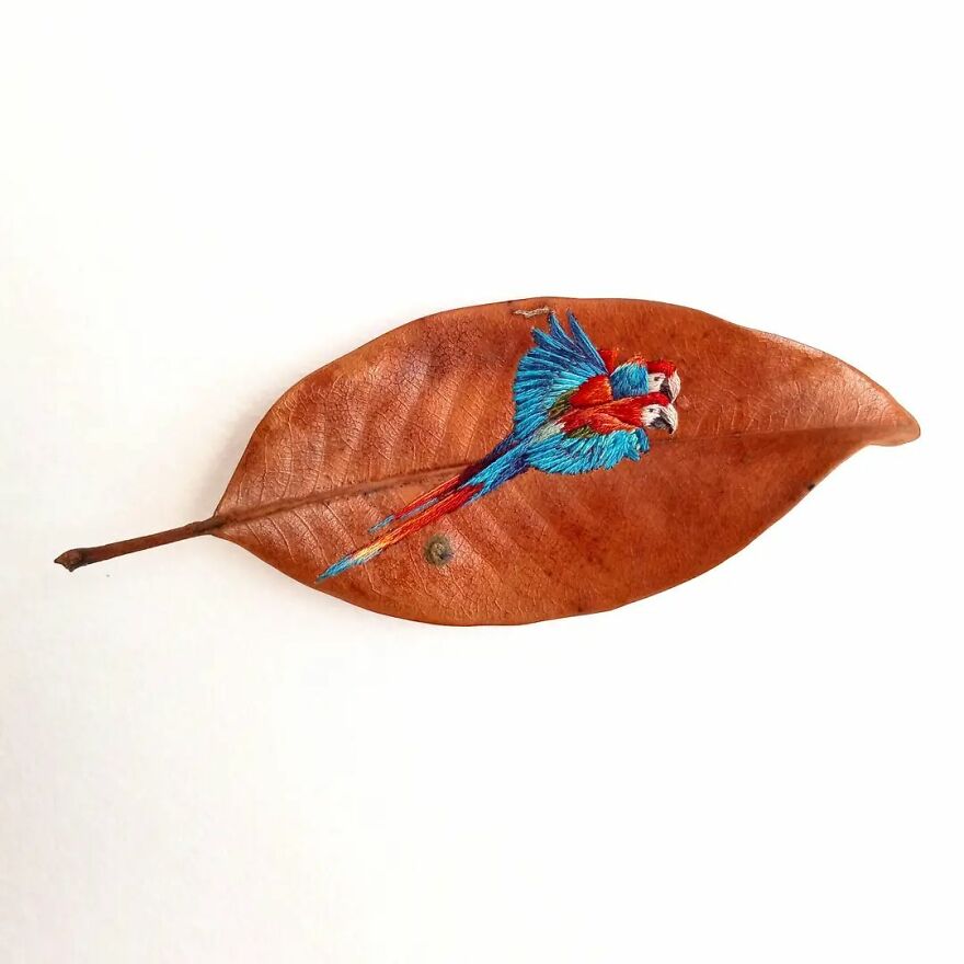 Brazilian Artist Conquers The Internet Making Embroidery On Tree Leaves