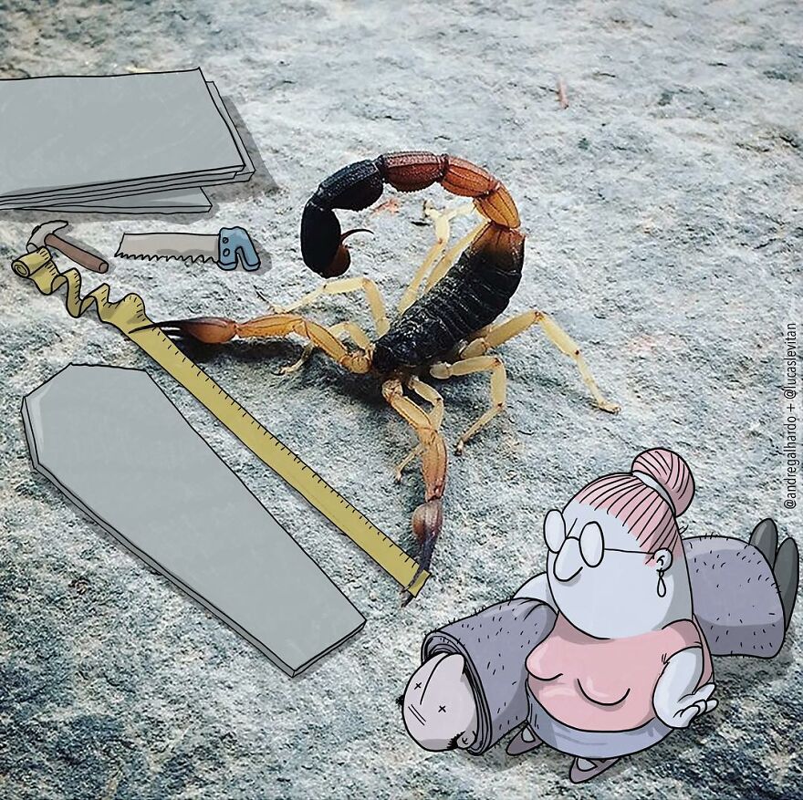 Brazilian Artist Makes 'Fun Invasion' On Instagram Photos (New Pics)