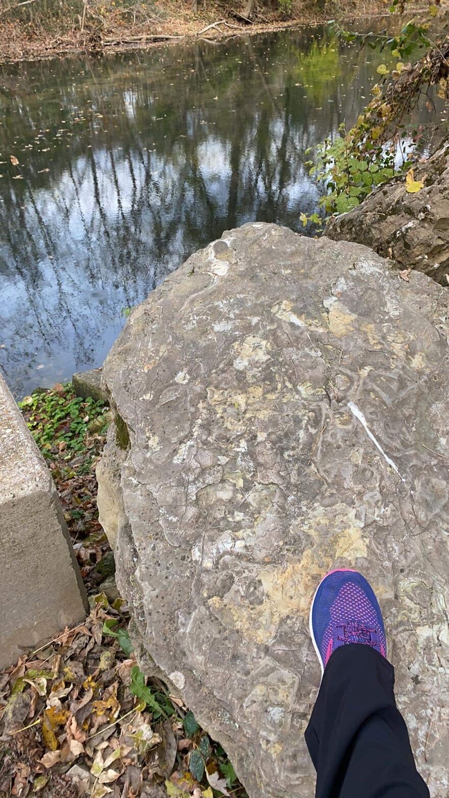 New Walking Spot New Walking Spot