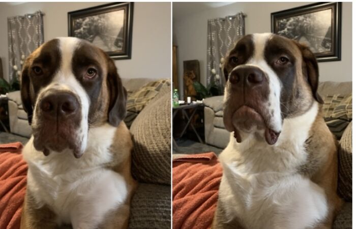 She Pouts When I Don’t Give Her My Last Bite