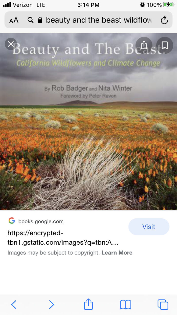 My Name Mentioned In This Book, For Helping Out My Friends Nita And Rob With Getting This Beautiful Book Published