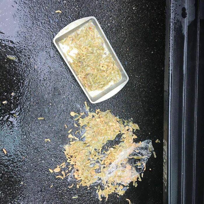 While Many Are Posting Their Beautiful Golden Turkeys And Perfectly Set Tables, I’m More For Keepin’ It Real. This Is My Green Bean Casserole. On The Ground. In My Driveway