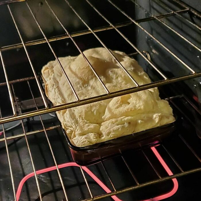 These Are Dinner Rolls, Allegedly