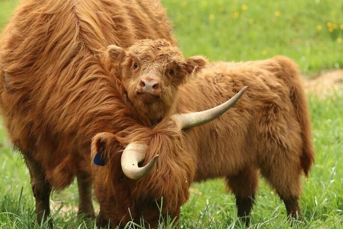 Bonnie & Konstellation