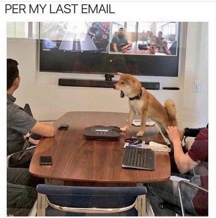 Employee-Tears-Work-Jokes