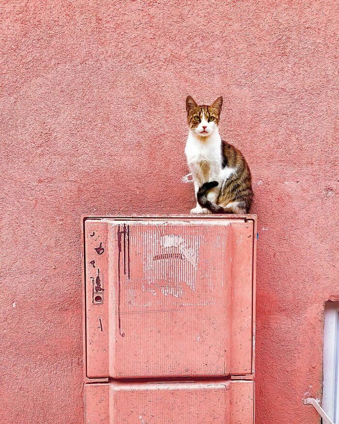 Istanbul, Turkey C. Forever