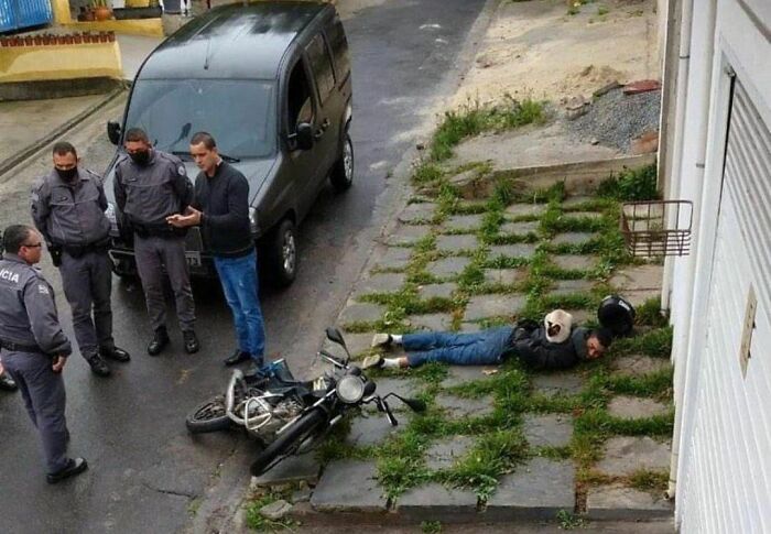 50 Animals Doing Whatever They Like, As Shared On This Instagram Account (New Pics)