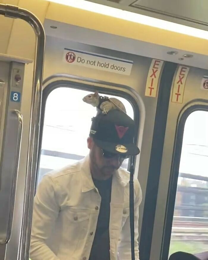 The Squirrel Master Never Needed A Leash