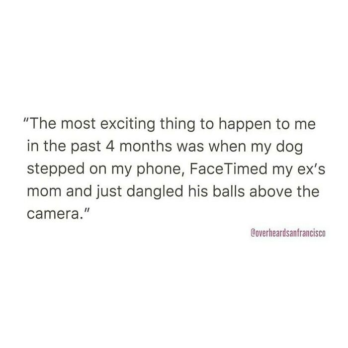 Funny private conversation overheard in San Francisco about a dog causing an accidental FaceTime call with a humorous mishap.