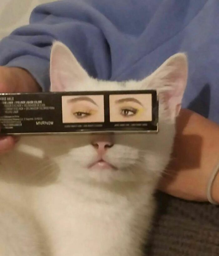 "I Want To Leave" Is Pretty Much The Weirdest Instagram Account, And Here Are 50 Pictures To Prove It (New Pics)