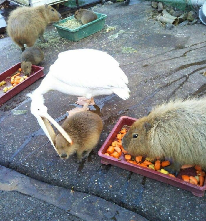 @allofyourproblemsever