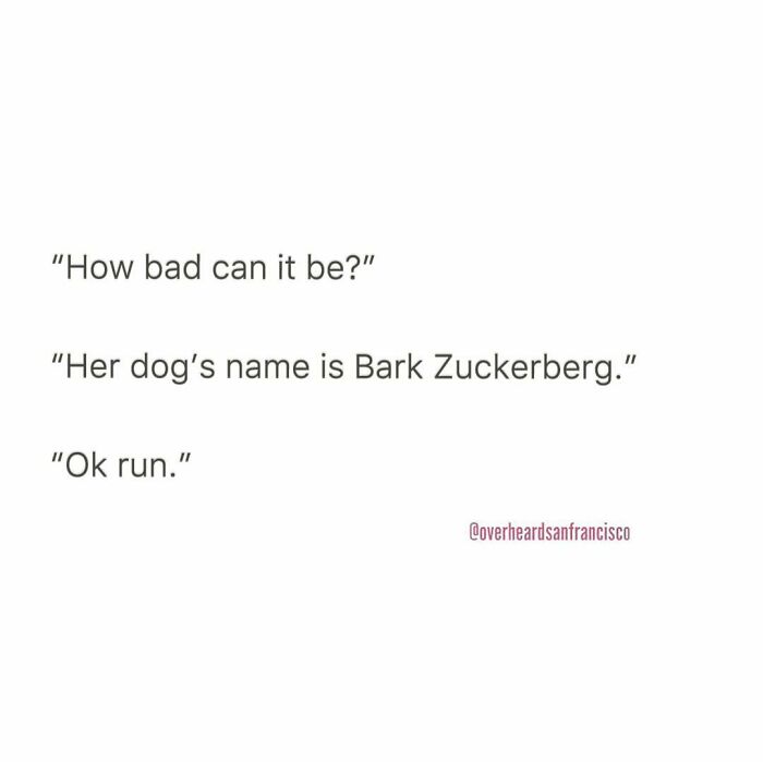 Humorous private conversations overheard in San Francisco capture witty and relatable moments with clever dog names.