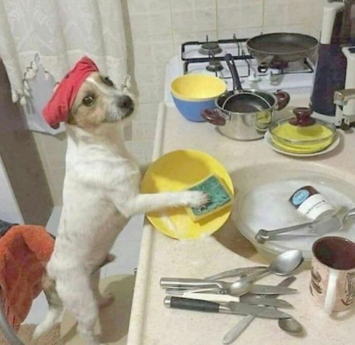 "I Want To Leave" Is Pretty Much The Weirdest Instagram Account, And Here Are 50 Pictures To Prove It (New Pics)