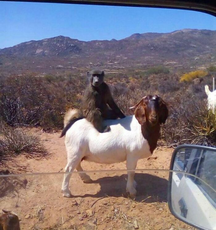 "I Want To Leave" Is Pretty Much The Weirdest Instagram Account, And Here Are 50 Pictures To Prove It (New Pics)