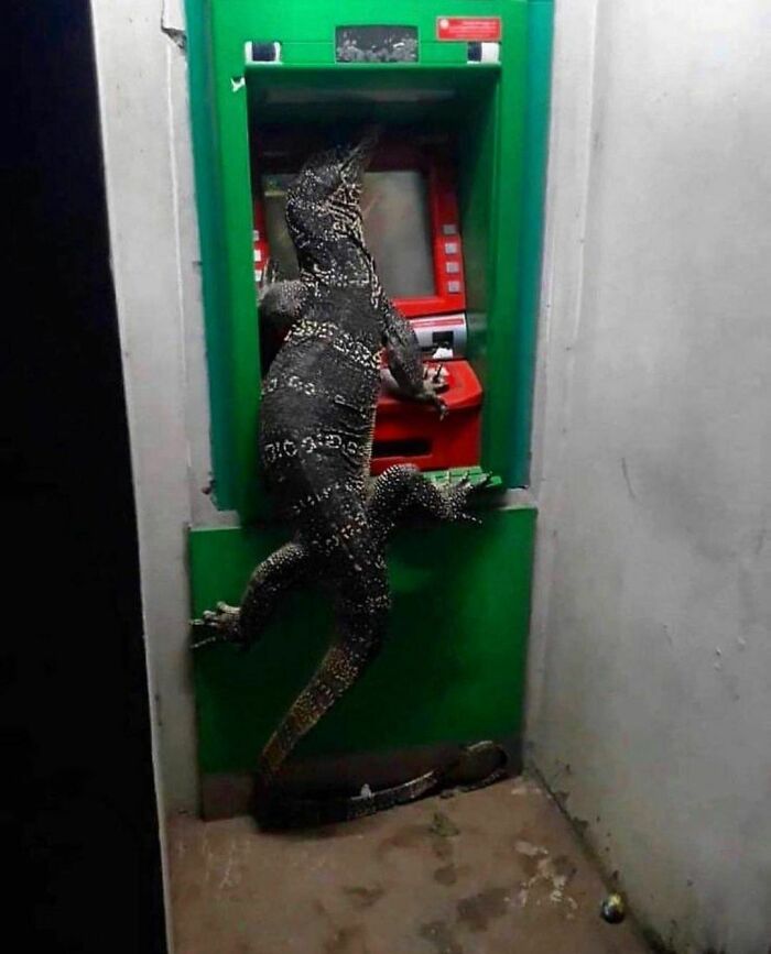 "I Want To Leave" Is Pretty Much The Weirdest Instagram Account, And Here Are 50 Pictures To Prove It (New Pics)